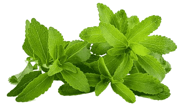 Hojas de stevia